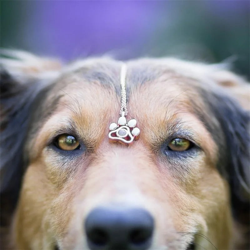 Paw Print Keychain